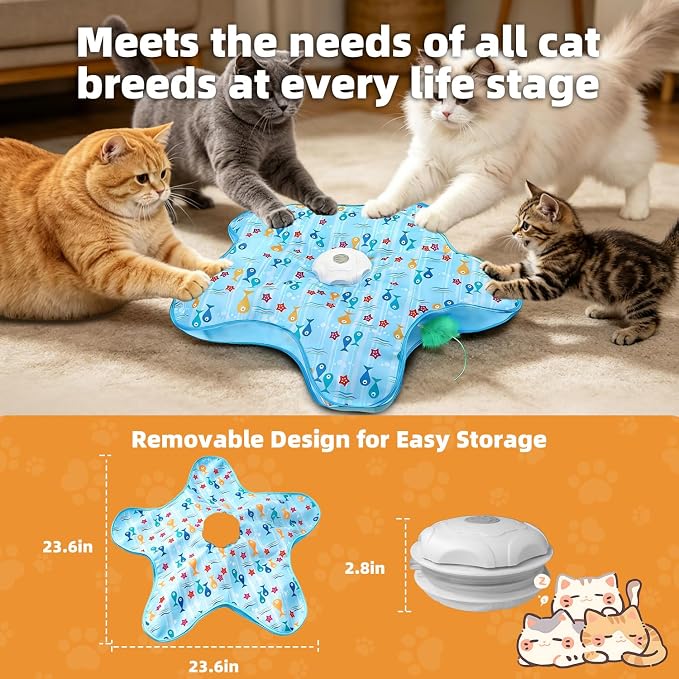 Interactive Cat Toy, Peek-a-Boo Series – Hidden Feather Wand, Rechargeable Indoor Hunting Toy, Squeaky Bird Sound, and Small Fish Pattern Cover