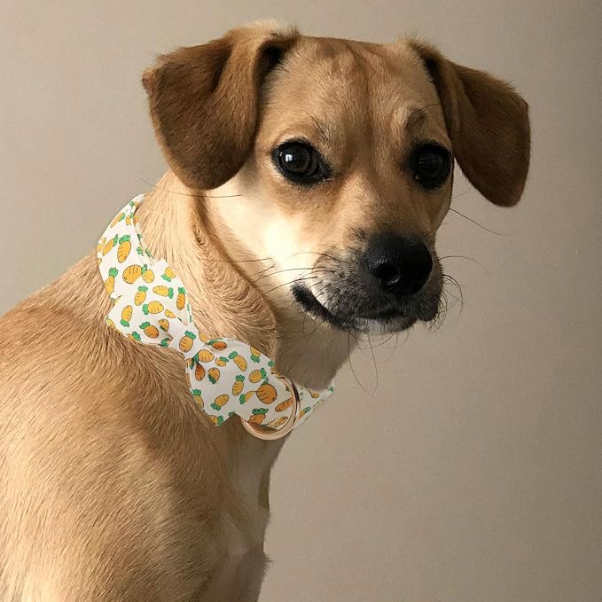 ·MR. CHUBBYFACE· Easter Dog Collar with Bowtie, Cute Carrot Easter Dog Collar with Metal Buckle,Adjustable Soft Pet Collar for Small Medium Large Dogs