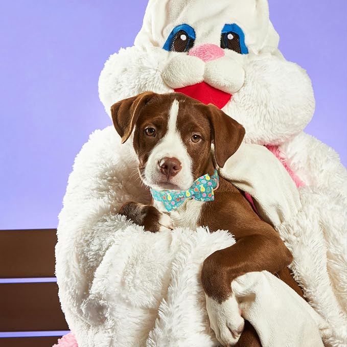 ·MR. CHUBBYFACE· Easter Dog Collar with Bowtie, Eater Bunny Eggs Dog Collars, Soft Durable Adjustable Easter Puppy Pet Collar for Small Medium Large Dog Collar