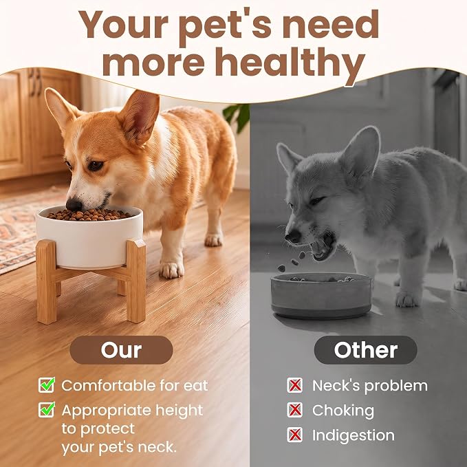hjn Elevated Ceramic Dog Bowl with Bamboo Stand, Raised Pet Feeding Station for Small Medium Dogs Cats, Modern Design with Anti-Slip Base (White, 3.6Cup)