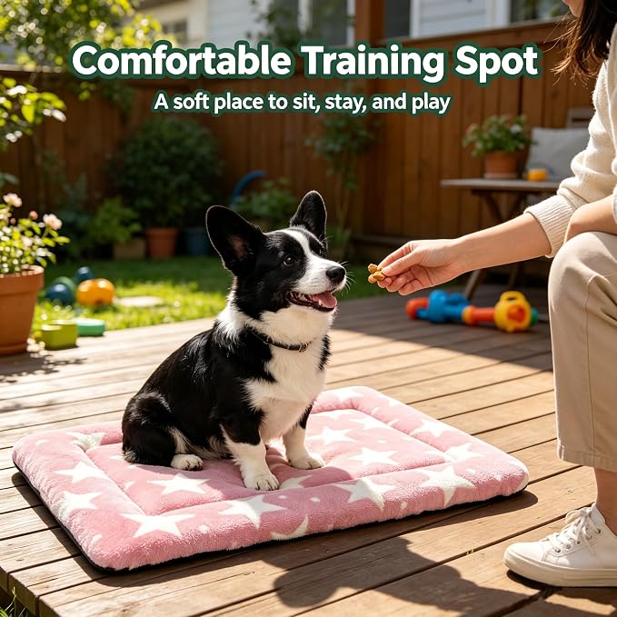 Dog Bed Mat,Reversible & Ultra Soft Kennel Pad-Machine Washable Pet Bed for Dogs & Cats-All-Weather Crate Liner for Crates,Carriers & Travel (Big Star&Pink, 30.0" L x 20.0" W x 1.5" Th)