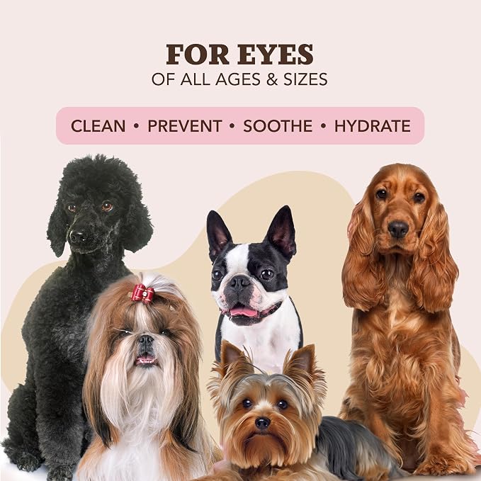 Natural Dog Company Ear Wipes for Dogs – Gentle Ear Cleaning Wipes for Wax, Odor & Itchy Ears, Soothing Cleaner with Aloe & Witch Hazel for Daily Care, 50 Count