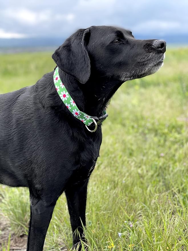 Native Pup Flower Dog Collar, Adjustable Small Medium Large, Cute Girl Female Summer Spring Pretty Designer Puppy Essentials Accessories, Pink Floral Blue Daisy Rose (Medium, Green Daisy)