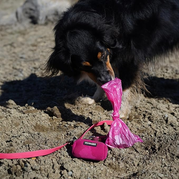 Best Pet Supplies Dog Poop Bags for Waste Refuse Cleanup, Doggy Roll Replacements for Outdoor Puppy Walking and Travel, Leak Proof and Tear Resistant, Thick Plastic - Pink Heart, 360 Bags