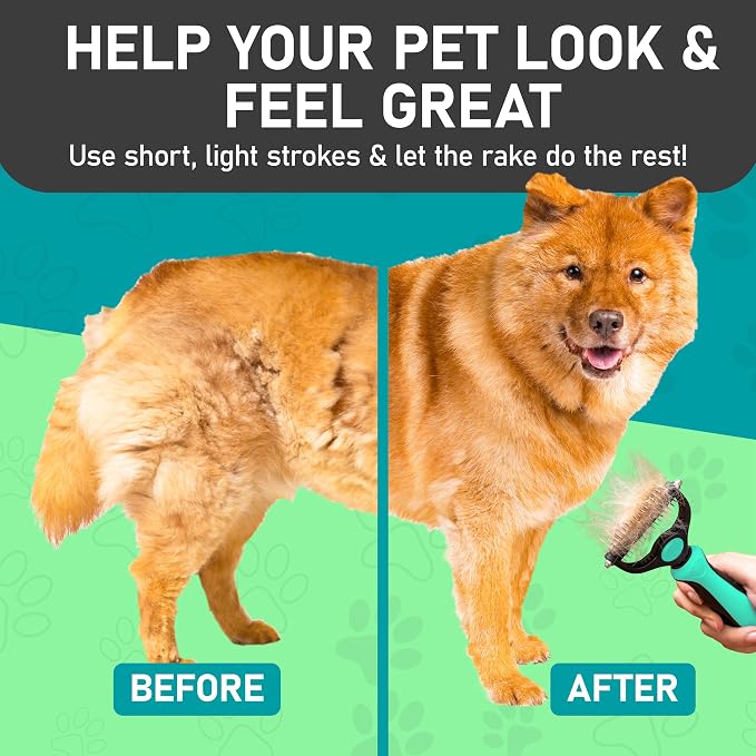 Maxpower Planet Hair Brush - Double Sided Shedding, Dematting Undercoat Rake for Dogs and Cats - Extra Wide Dog Grooming Brush, Reduce Shedding by 95%, Turquoise (Pack of 2)