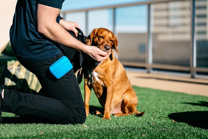 Dexas Pets Pooch Pouch Flexible Dog Treat/Training Treat Clip Pouch, Pro Blue (Pack of 2)