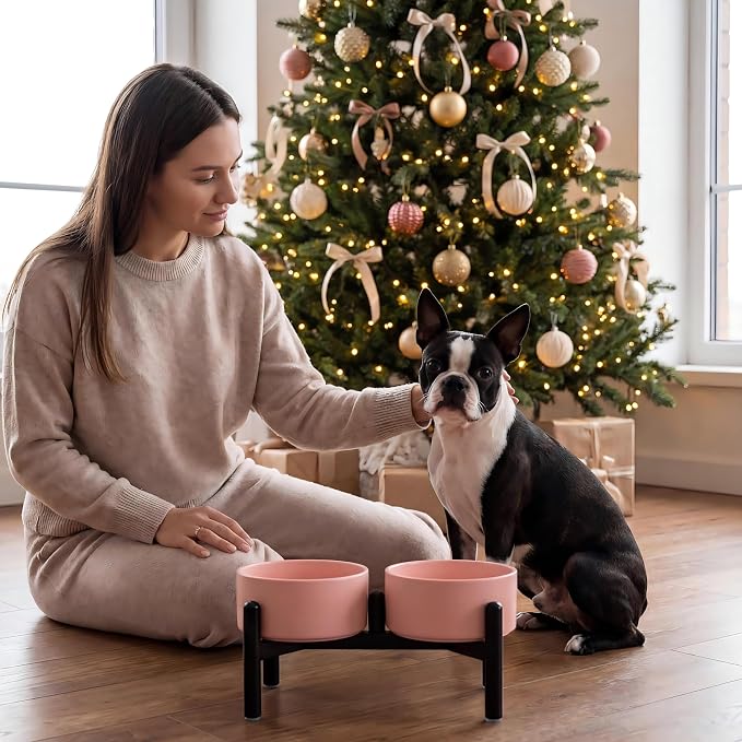 Raised Ceramic Dog Bowl Set - Elevated Double Dishes with Stainless Steel Stand - Food and Water Bowls for Small to Medium Dogs - Each Holds 3.5 Cups (29.57 fl oz) - Grey