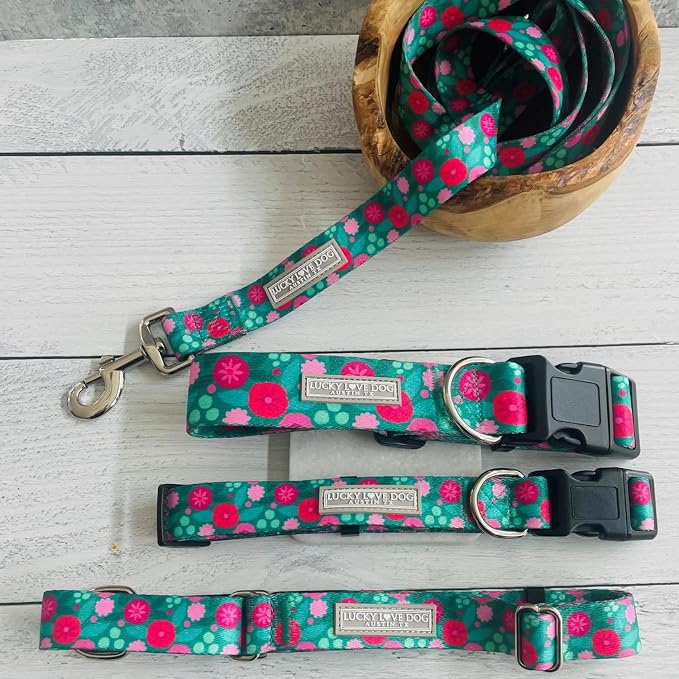 Lucky Love Dog - Adjustable Dog Collar and Leash Set with Easy Click Buckle for Large Dogs, Durable, & Comfortable Collar for Male & Female Dogs, Puppies & Adult Ones - Penny Combo, Large