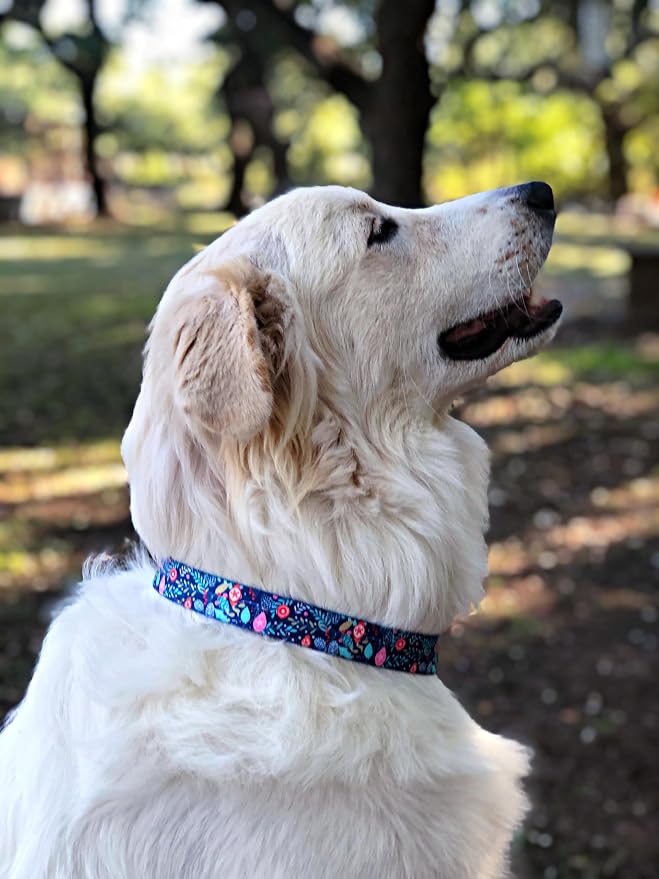 Lucky Love Dog - Adjustable Collar and Leash Set with Easy Click Buckle for Small Dogs, Durable, & Comfortable Collar for Male & Female Dogs, Puppies & Adult - Sweet Holiday Combo, XS