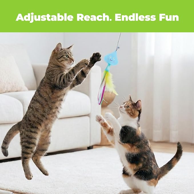 Catify Meow Chase Playset, Retractable Cat Wand Toy with 6 Feather Teaser Cat Toys Attachment, Flexible Cat Teaser Wand for Indoor Cats and Kittens, Cat Fishing Pole Style Toy for Exercise and Bonding