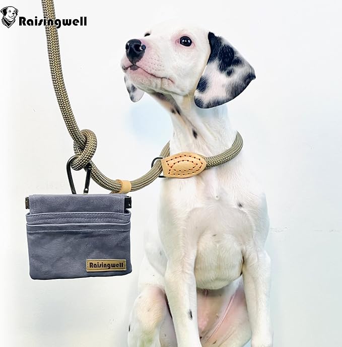 Raisingwell Dog Treat Pouch, Small Cotton Pocket Sized Training Holder, Hand Free Walking Fanny Bag with Carabiner, Self-Closing Pet Feed Snack Reward, Behavior Aids for Puppy Travel or Outdoor (Grey)