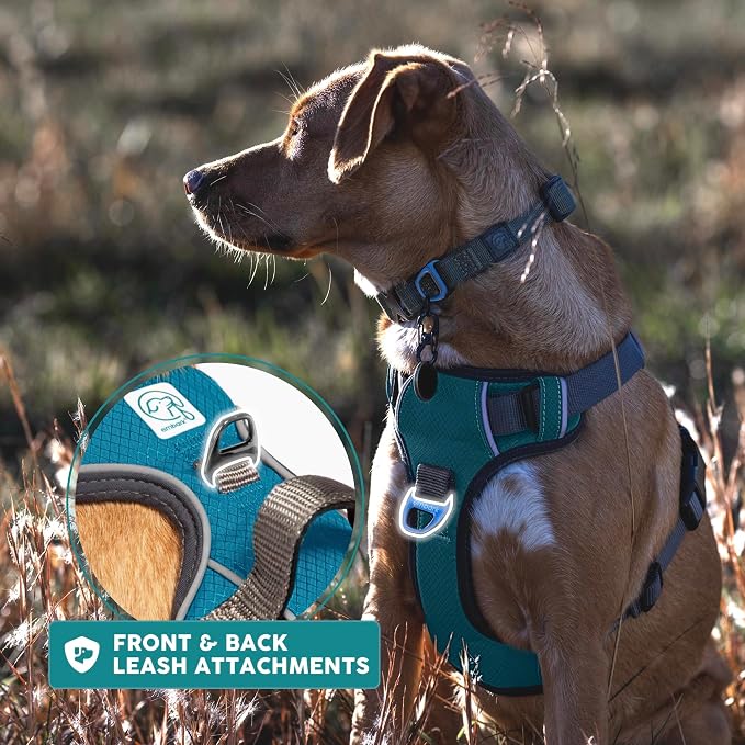 Embark Adventure XL Dog Harness – No-Pull, Reflective Trim, Military-Grade Nylon, Dual Leash Clips, Gel-Lined Handle for Extra Large Dogs