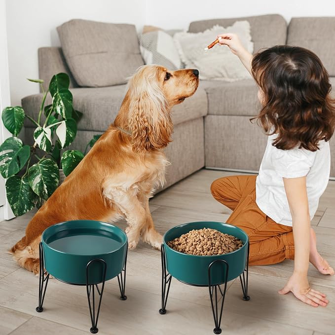 Elevated Dog Bowls, Ceramic Raised Dog Bowl Set with Anti-Slip and Non-Tip Metal Stand, 2 Pack Pet Food and Water Feeding Bowls for Small and Medium Dogs (Green,7.6 Cups)