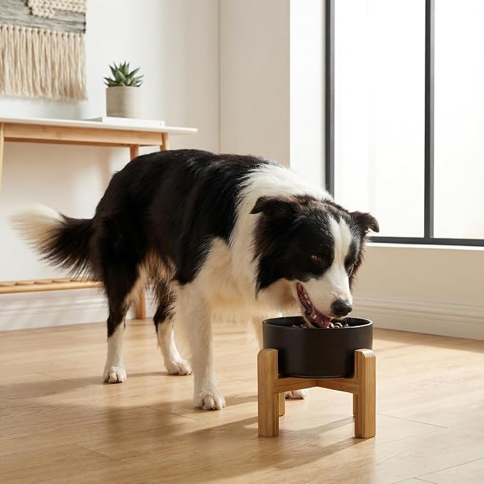 hjn Elevated Ceramic Dog Bowl with Bamboo Stand, Raised Pet Feeding Station for Small Medium Dogs Cats, Modern Design with Anti-Slip Base (Black, 7.6Cup)