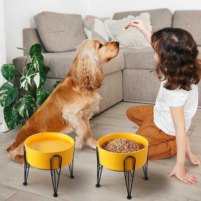 Elevated Dog Bowls, Ceramic Raised Dog Bowl Set with Anti-Slip and Non-Tip Metal Stand, 2 Pack Pet Food and Water Feeding Bowls for Small and Medium Dogs (Yellow,7.6 Cups)