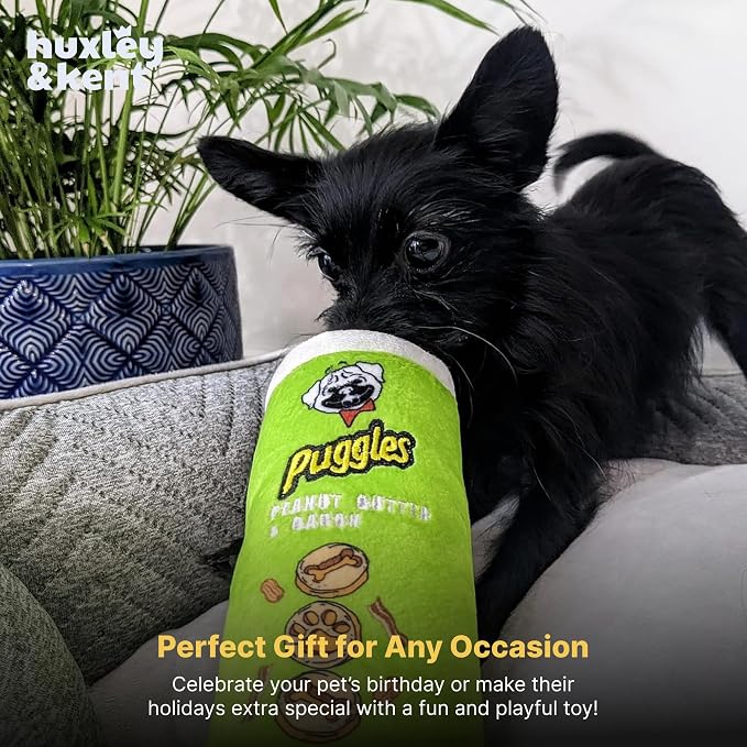 Huxley & Kent Funny Dog Toy w/Squeaker – Power Plush Squeaky Dog Toys for Small, Medium & Large Dogs – Soft Stuffed Animal for Indoor Play & Fetch - Puggles Can, Small