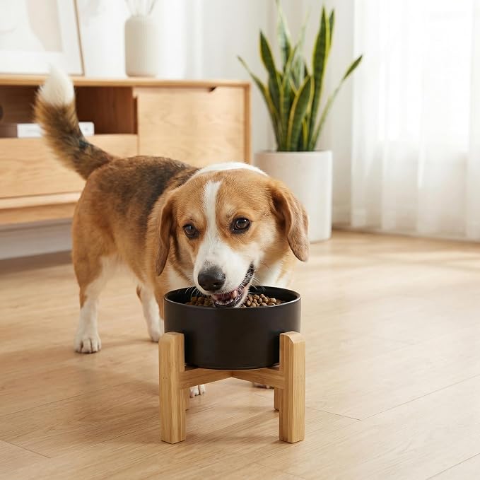 hjn Elevated Ceramic Dog Bowl with Bamboo Stand, Raised Pet Feeding Station for Small Medium Dogs Cats, Modern Design with Anti-Slip Base (Black, 3.6Cup)