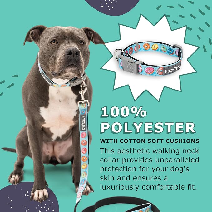 FuzzYard You Drive Me Glazy Dog Collar | Size S | Comfortable Neoprene Pet Collar for Everyday Walking & Training | Ideal Fit for Small Dogs