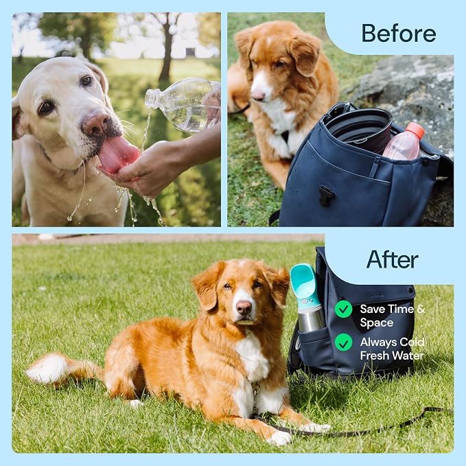 MalsiPree Insulated Dog Water Bottle - 24 oz Blue, Stainless Steel | 24oz insulated steel bottle & bowl - leak-proof - Use for dog travel, hiking, park & beach days