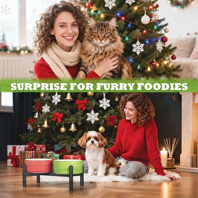 Ceramic Elevated Dog Bowl Set, 6.1''Raised Dog Food and Water Bowl Set with Non-Slip Stainless Steel Stand, Double Raised Dish for Small and Medium Breed, 3.5 Cups / 22 Fl Oz,Classic Pastels