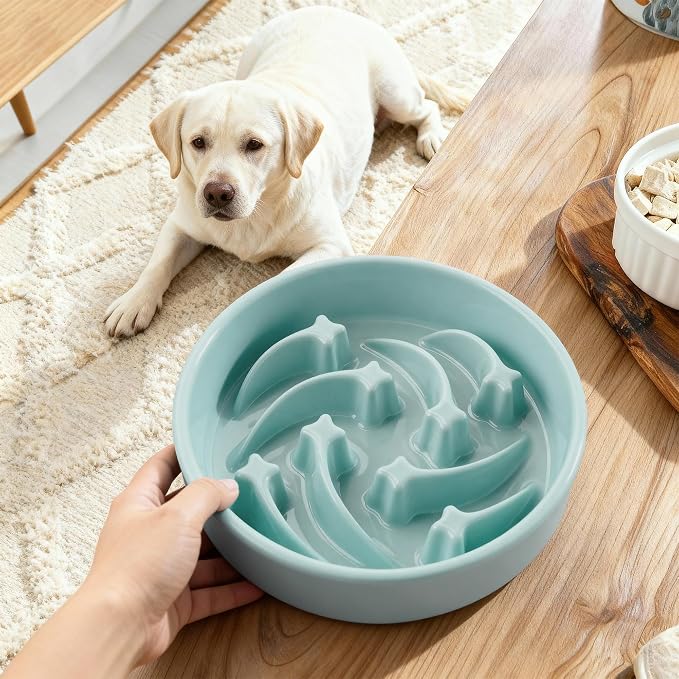 Ceramic Slow Feeder Dog Bowls Large Breed, 2 Cups Slow Eating Dog Bowl, Anti-Gulping Pet Food Bowl Reduce Choking, Heavy Puzzle Maze Design Pet Dishes for Fast Eaters, 8.3 inch - Light Green