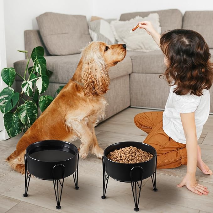 Elevated Dog Bowls, Ceramic Raised Dog Bowl Set with Anti-Slip and Non-Tip Metal Stand, 2 Pack Pet Food and Water Feeding Bowls for Small and Medium Dogs (Black,7.6 Cups)