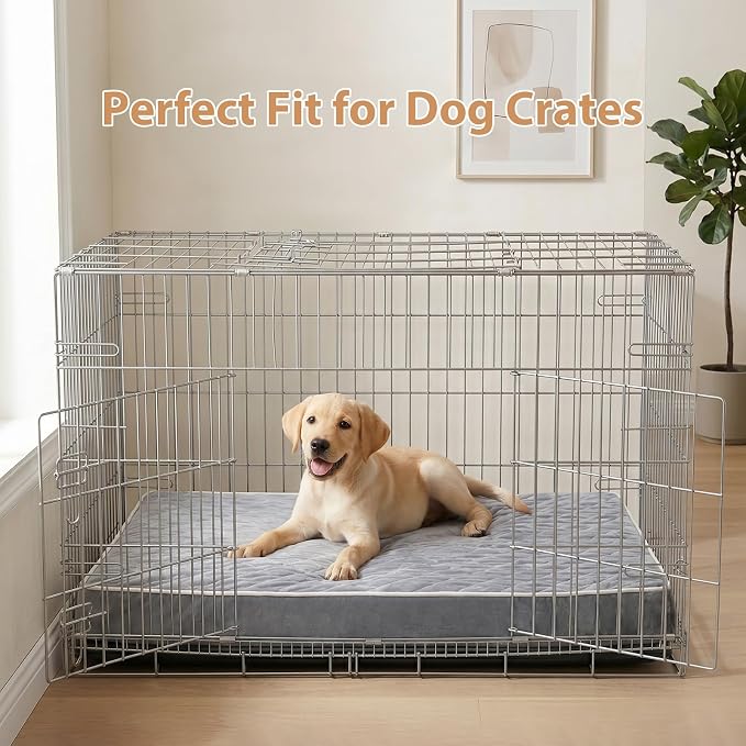 WNPETHOME Orthopedic Giant Human Dog Beds for Adult & Dog Cozy Sleep | Human Washable Waterproof Dogs Bed with Removable Cover, Multi-Needle Quilting Dogs Crate Bed for Relax,LightGrey 61x43Inch