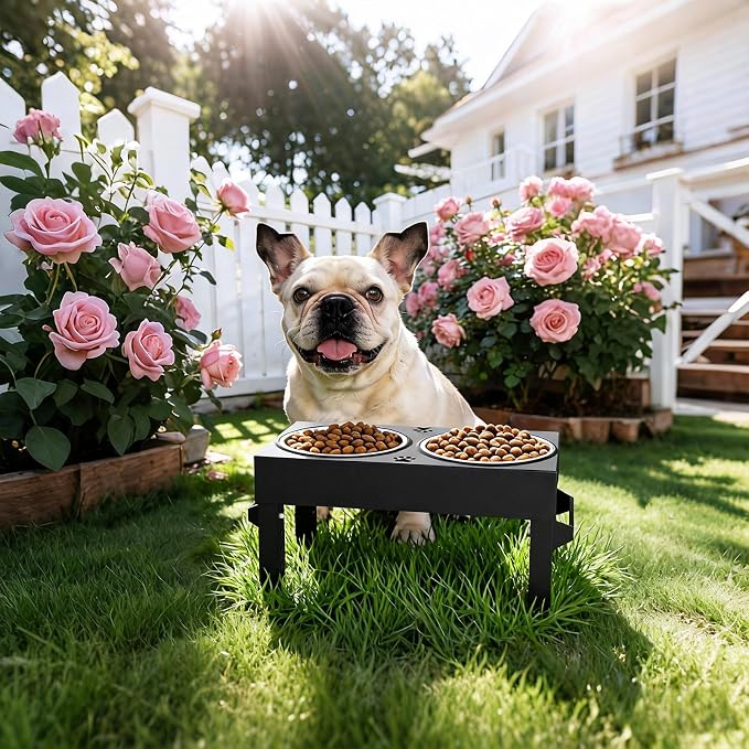 Elevated Dog Bowls, 4 Height Adjustable Raised Bowl Stand with 2 Stainless Steel 7" Food Feeder Bowls for Small Medium and Large Dogs (Plastic)