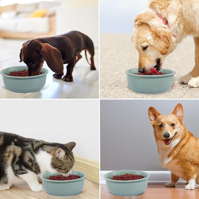 Ceramic Replacement Dog Bowl for Wordcam SS02 Model, 6.9"X2.6", Light Green | Food and Water Bowl Set, for Small Medium Cats, Pet Feeding Dishes for Dogs 20-35lbs, Thicker Ceramic, Anti-Skid, 28Oz/800ML