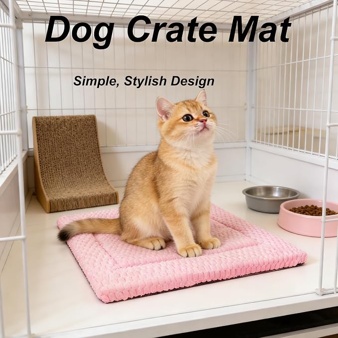 Cat Bed Mat - Durable & Cute Crate Beds for Extra Small Dogs & Cats, Comfortable Kennel Pad for Home, Crate & Travel
