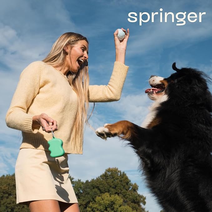 Springer Springland Dog Treat Pouch for Effort-Free Squeeze Dispensing - Easy-Fill, Food-Grade Silicone Treat Pouches for Pet Training - Includes Carabiner-Green