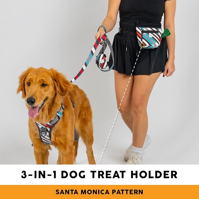 Embark Dog Treat Pouch - Waterproof Training Bag & Portable Water Bowl | Leakproof Treat Bag with Hook, Magnetic Closure, Extra Pocket for Phone & Keys with Poop Bag Outlet For Dogs - Black