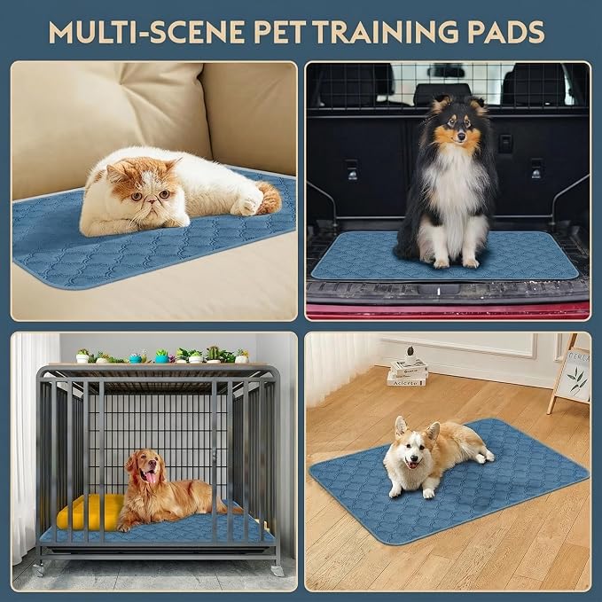 FunFurry Washable Pee Pads for Dogs - 2 Pack Reusable Pee Pads,Waterproof Puppy Pads,Pet Training Pads,Super Absorbent with Dog Paw Shape Non-Slip Backing (Blue, 36" X 48" - 2 Pack)