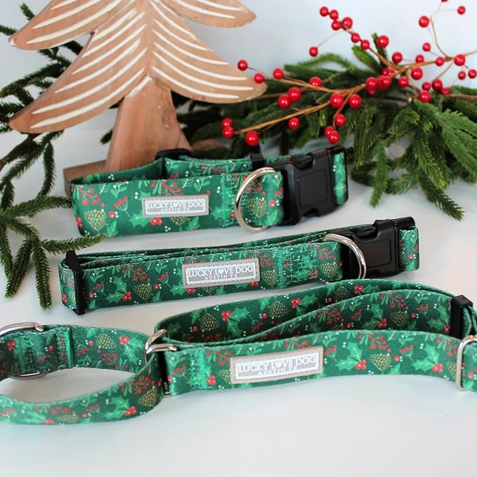 Lucky Love Dog - Easy Click Holly Dog Collar with Leash Set Combo, Durable & Comfortable for Male & Female Dogs, Pet Collar for Small Dogs, Secure Fit - Holly Combo, Small