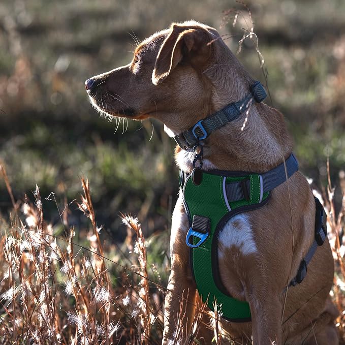 Embark Adventure Small Dog Harness – No-Pull, Reflective Trim, Military-Grade Nylon, Front Clip with Gel-Lined Handle