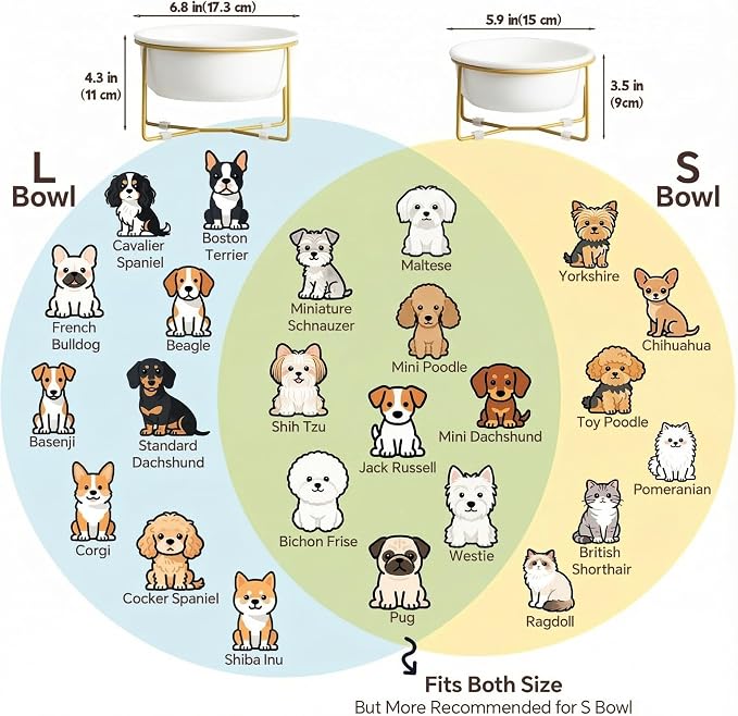 Elevated Ceramic Dog Bowl with Metal Stand - Raised Feeding Dish for Small and Medium Dogs - Ideal for Food or Water - Each Holds 600ml / 3.2 Cups (Approx. 320g) - White