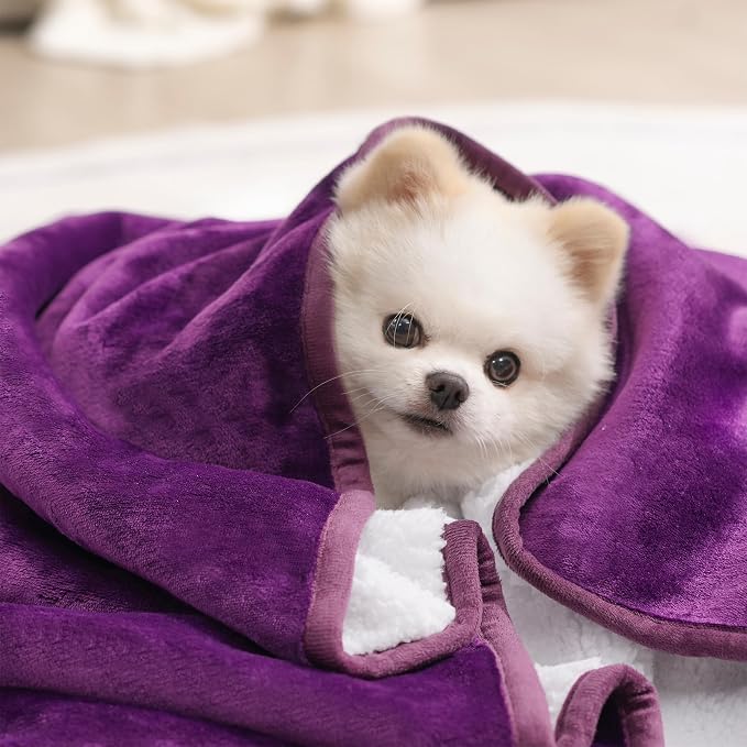 gogobunny Waterproof Bed Blanket, Reversible Sherpa Fleece Throw Blanket for Dog Puppy Cat, Furniture Cover Protects Bed Couch Sofa from Liquid Pee and Pet Fur (Dark Purple, 25x35 inches)