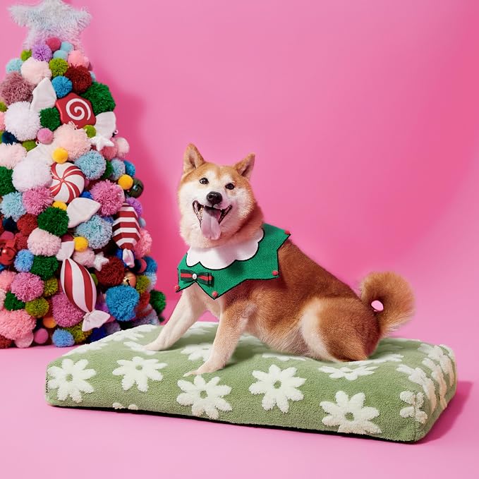 LE SURE Dog Beds Large Sized-Thick Shredded Chopped Foam Pet Bed Indoor as Bed Gift with Removable Cover, Cute Modern Fuzzy Plush & Anti Slip Bottom, Green