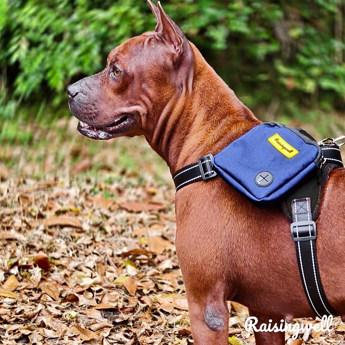 Raisingwell Dog Treat Pouch for Pet Walking and Training with Clicker Poop Bags Small Fanny Zipper Pack Holder for Puppy Snack Dispenser Kit for Leash and Outdoor Use (Blue)