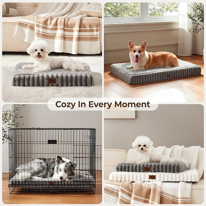 Dog Bed Small Sized for Crate, Orthopedic Pet Pad for Dogs with Removable Washable Cover, Waterproof Dogs Beds Up to 25 lbs, Soft Plush Surface & Egg Foam for Calming, 23x18x3 Inch, Grey