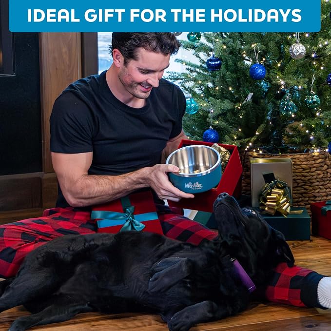 Master Pet Supply Stainless Steel Dog Bowls - 64 oz, Heavy Duty - Glacier Blue, Double Wall Extra-Thick Insulated, Non-Slip Pet Water Bowl for Dogs, Cats & Pets, Anti Rust Metal, Dish Washer Safe
