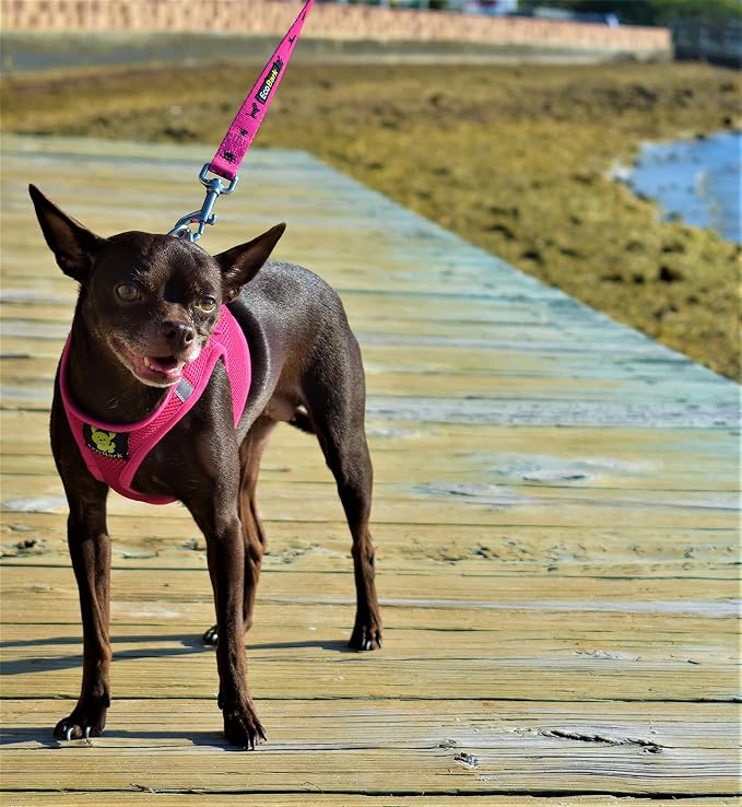 EcoBark Premium Quality Small Dog Harness - Step in Reflective Luxury Soft Mesh Harnesses for Puppies, Toy Breeds, & Small Dogs - Comfortable & Safe Body Halter - Adjustable Pet Vest (Small, Pink)