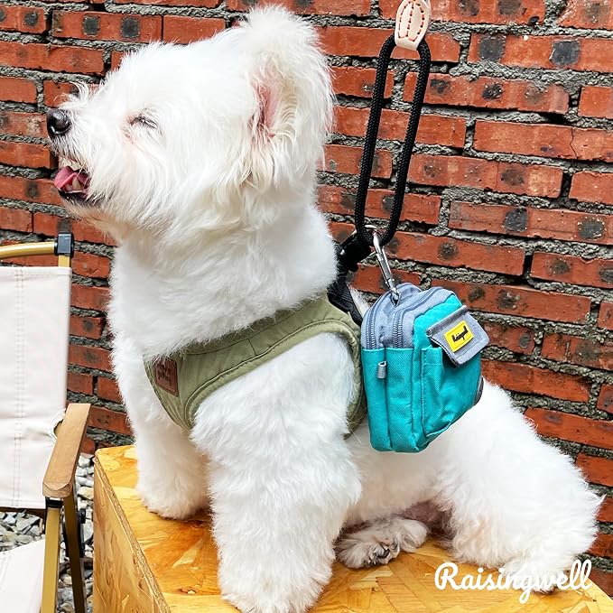 Raisingwell Dog Treat Pouch for Pet Walking and Training with Clicker Poop Bags and Three Bags Design Small Fanny Zipper Pack Holder for Puppy Snack Dispenser Kit for Leash and Outdoor Use (Green)