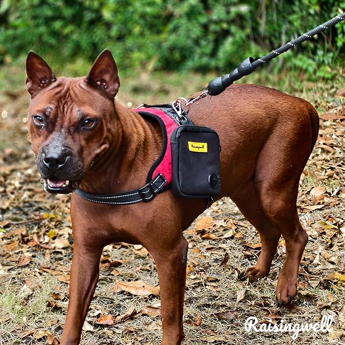 Raisingwell Dog Treat Pouch for Pet Walking and Training with Clicker Poop Bags Small Fanny Zipper Pack Holder for Puppy Snack Dispenser Kit for Leash and Outdoor Use (Black)