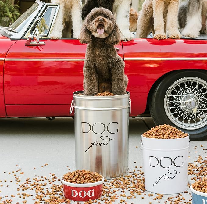 Harry Barker Classic Silver Dog Food Storage Canister – Small, Airtight Stainless Steel Pet Food Container, Holds Up to 10 lbs Dry Dog Food, Kitchen Counter & Pantry Storage - Silver