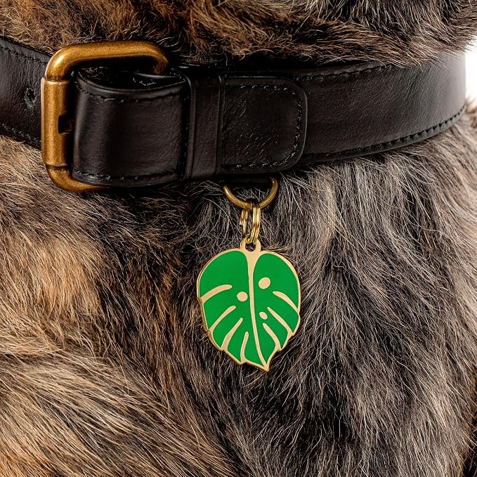 Two Tails Pet Company Personalized 'Monstera Leaf' Pet ID Tag & Collar Charm - Custom Engraved Dog Tags for Pets - Luxury Brass, Gold Plating