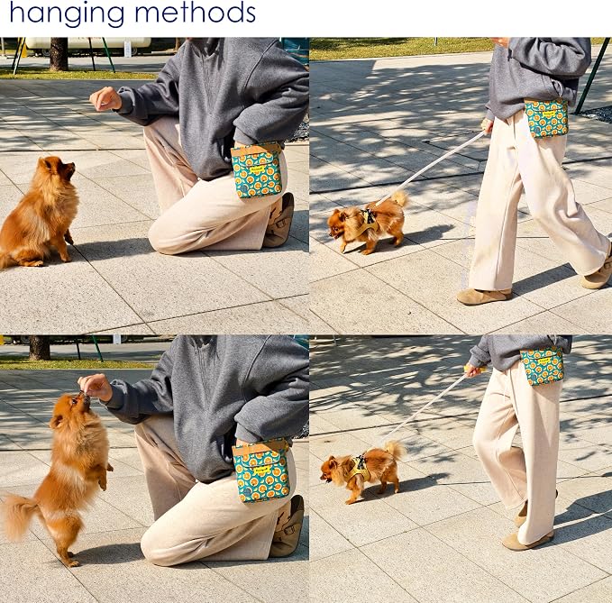 Raisingwell Dog Treat Pouch for Pet Walking and Training with Clicker 2 Cup Silicone Bag Small Fanny Pack Holder for Puppy Snack Dispenser Kit for Leash and Outdoor Use (Fruit Orange)