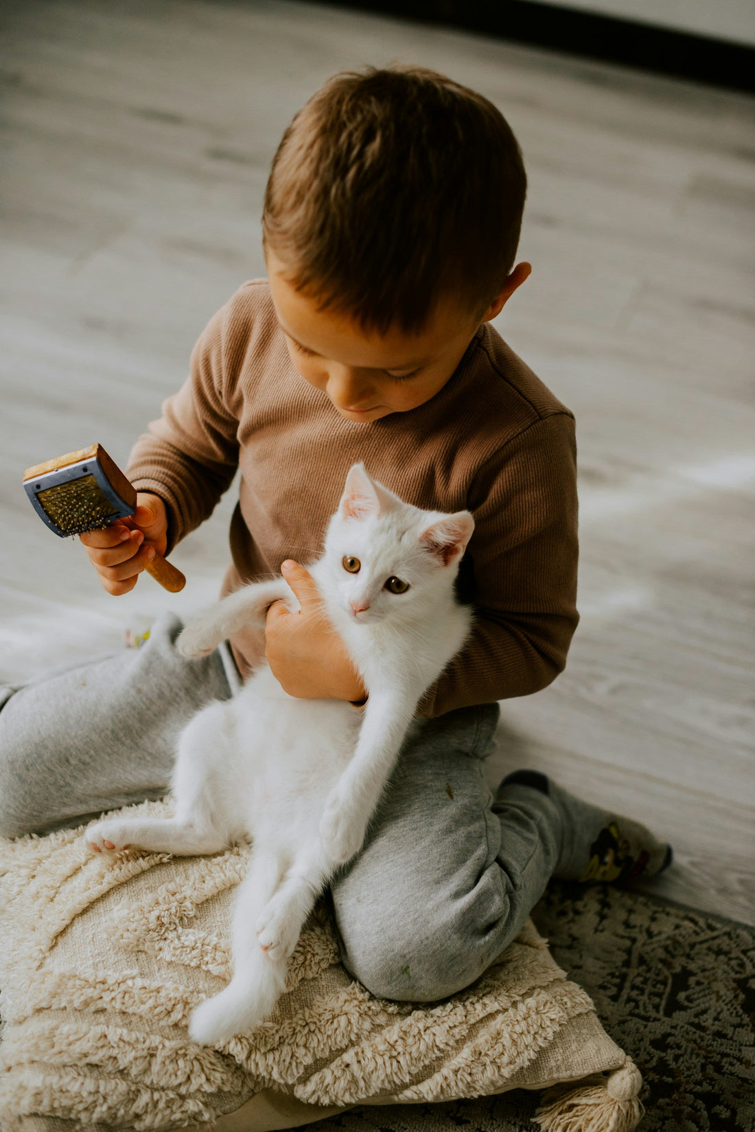 A Weekly Cat Care Routine That Catches Problems Early