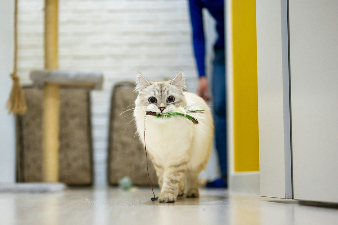 6 Pet Care Trends Actually Worth It in 2026
