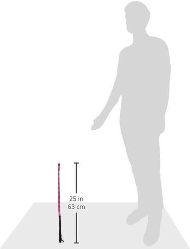LupinePet Originals 1/2" Puppy Love 4-foot Padded Handle Leash for Small Pets